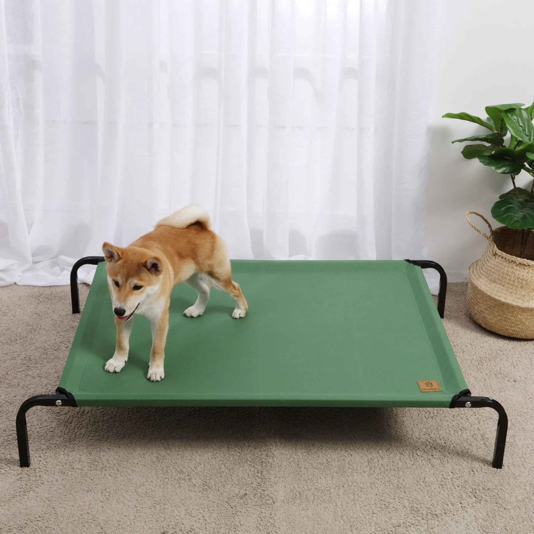 Charlie's Trampoline Hammock Bed Green Large
