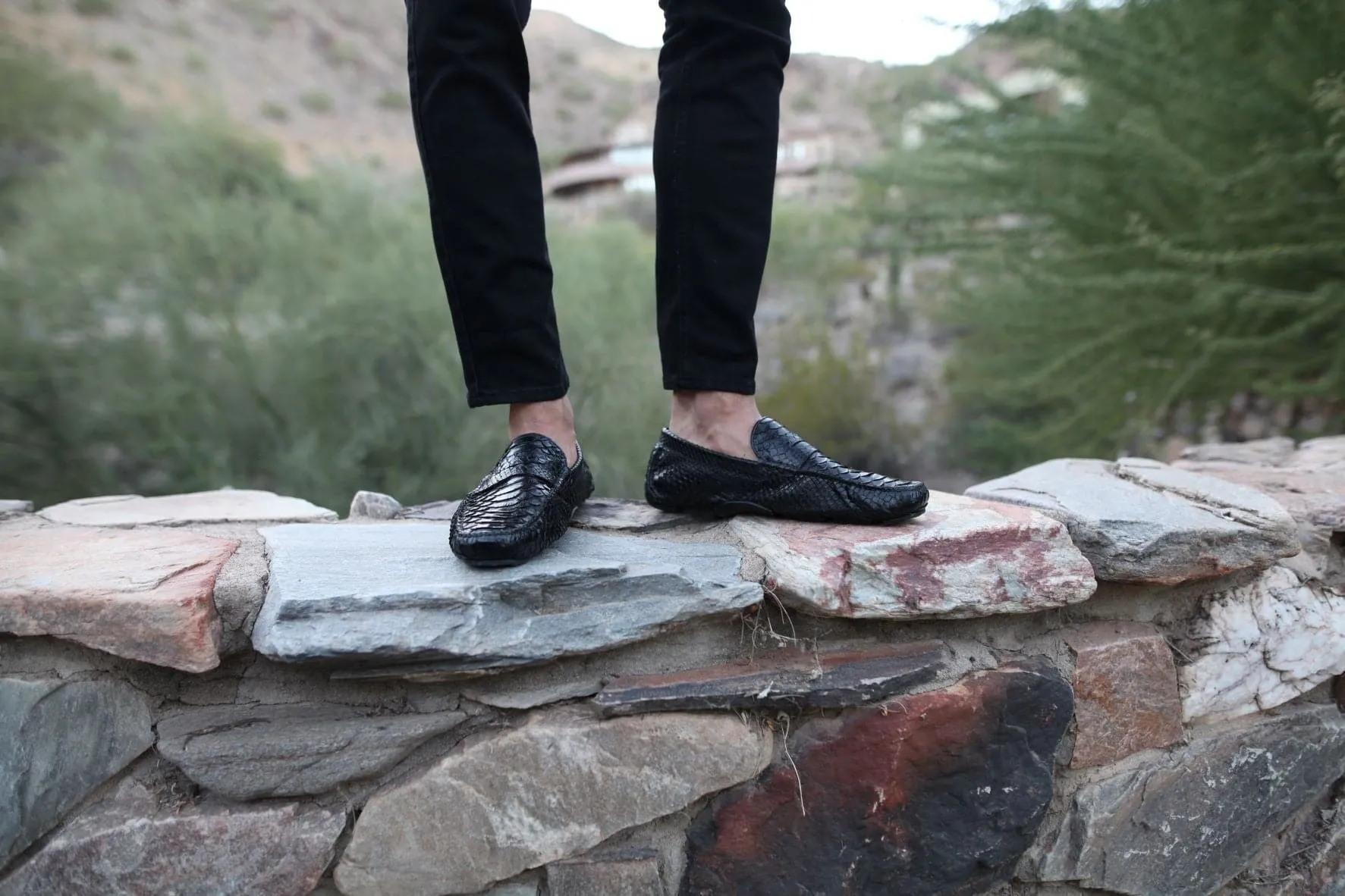 The Sprinter - Midnight Python